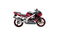 Carenados Kawasaki ZX9R 2000-2001