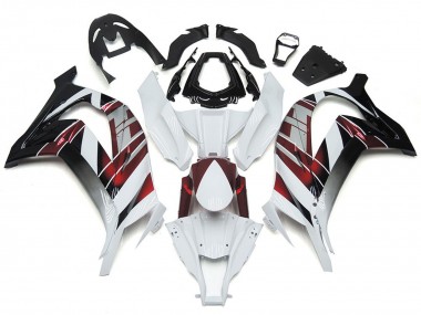 Blanco & Plata 2016-2019 Kawasaki ZX10R Carenado Moto