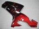 Carenado Moto Kawasaki ZX10R 2006-2007 - Negro Brillante Rojo Llama