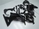 Carenados Moto Kawasaki Ninja 300 EX300R 2013-2024 - Negro Brillante Negro Mate