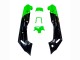 Carenados Moto Kawasaki ZZR600 1998-2003 - Verde Negro Monstruo Elf