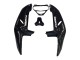 Carenados Moto Honda CBR900RR 919 1998-1999 - Negro Brillante Blanco Calcomanías
