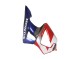 Carenados Moto Honda CBR900RR 929 2000-2001 - Plata Rojo Azul