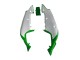 Carenados Moto Kawasaki ZX7R 1996-2003 - Blanco Verde Negro