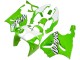 Carenados Moto Kawasaki ZX7R 1996-2003 - Blanco Verde