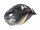 Carenado Moto Honda CBR600RR 2005-2006 - Negro Oro