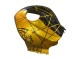 Carenados Moto Honda CBR600RR 2009-2012 - Oro Negro Brillante