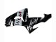 Carenados Moto Kawasaki ZX10R 2006-2007 - Negro Brillante Blanco West