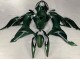 Carenados Moto Kawasaki ZX6R 2019-2022 - Verde Oscuro