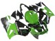 Carenado Moto Kawasaki ZX12R 2002-2006 - Verde Negro Brillante Elf Touch4 Monstruo
