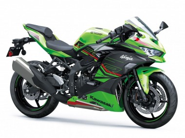 Carenados Moto Kawasaki ZX4R ZX-4RR 2019-2025 - Verde Negro Rojo Blanco