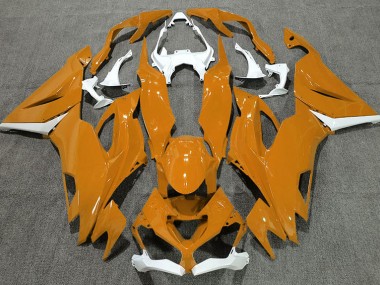Naranja Brillante & Blanco 2019-2023 Kawasaki ZX6R Carenado Moto