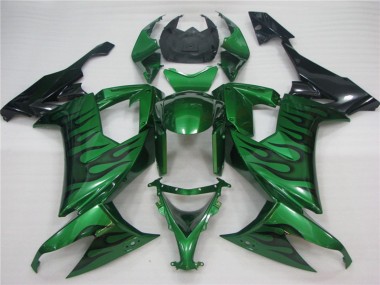 Verde Llama 2008-2010 Kawasaki ZX10R Carenado Moto